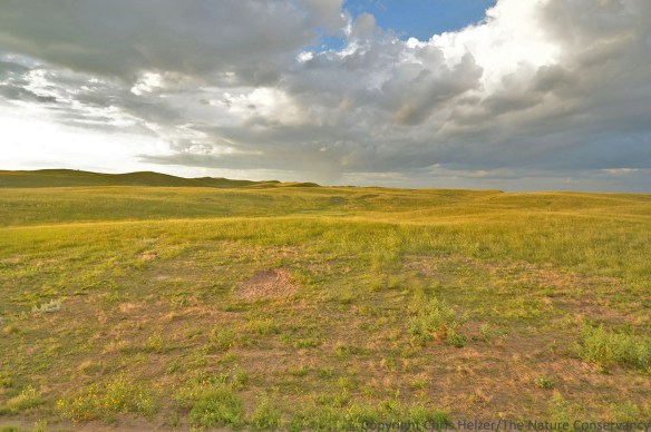 August 15, 2014.  8pm.