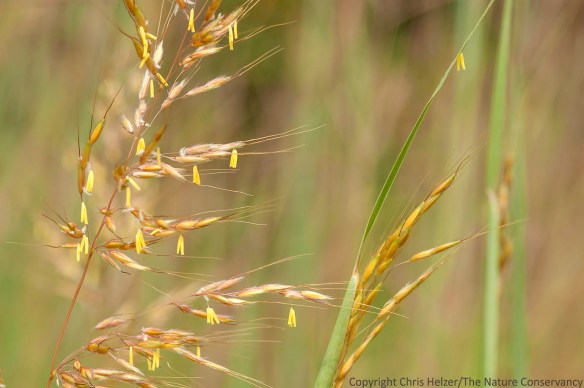 More of the same, but from a little further away.