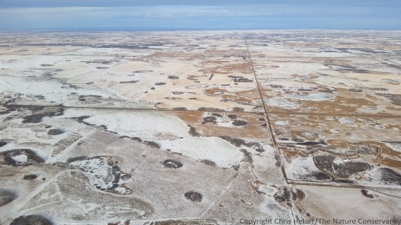 The view from my airplane window as we approached Saskatoon from the west today. A beautiful landscape with lots of wetlands scattered across it.