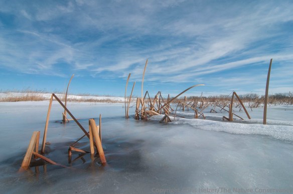 A final ice-level photo.