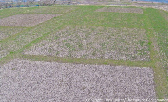 DCIM100GOPROG0080136.