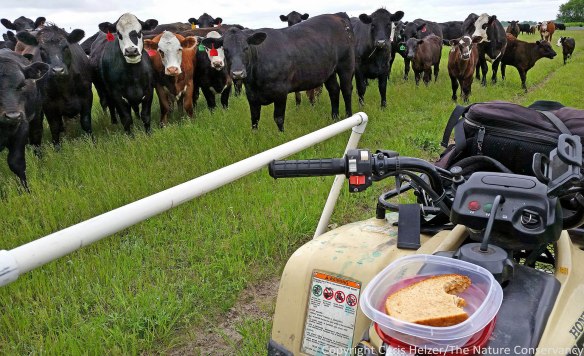 Hey, what's for lunch?