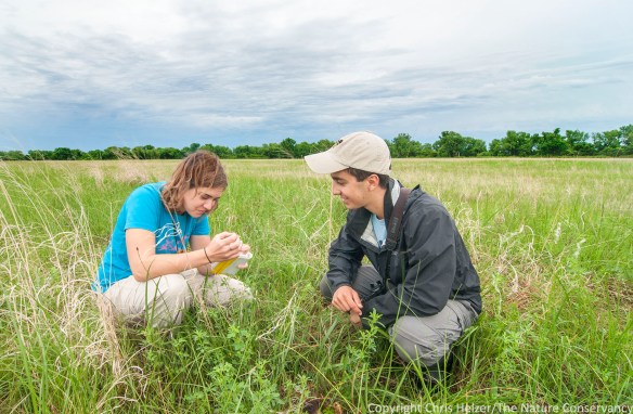 Kim Tri inspects a skunk skull in the prairie while Evan Barrientos looks on.  The Nature Conservancy's Platte River Prairies, Nebraska.