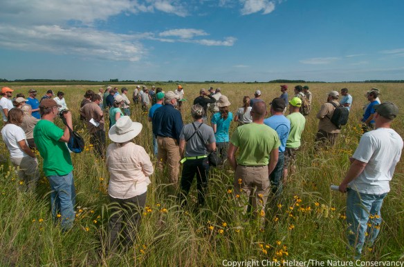 Grassland Restoration Network Meeting.  Hosted by TNC Minnesota.