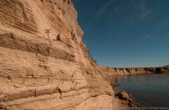 Sand bank on the Calamus River. Sandhills of Nebraska near Burwell.
