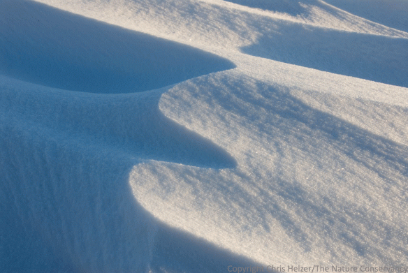 Sun and shadow contrast on snow drift. 