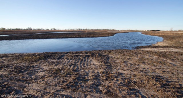 Dirt now, prairie and wetland later. This re-excavated slough and former weed field is ready to be seeded!