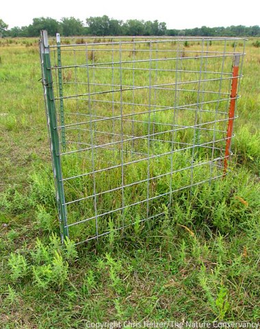 Grazing exclosure at the Dahms Tract.