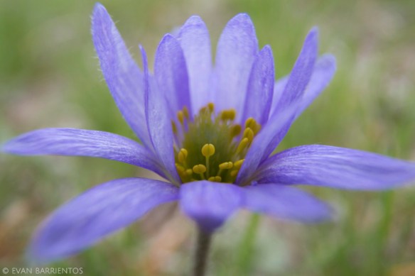 20160419_nebraska_2192