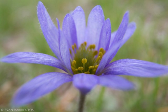 20160419_nebraska_2192