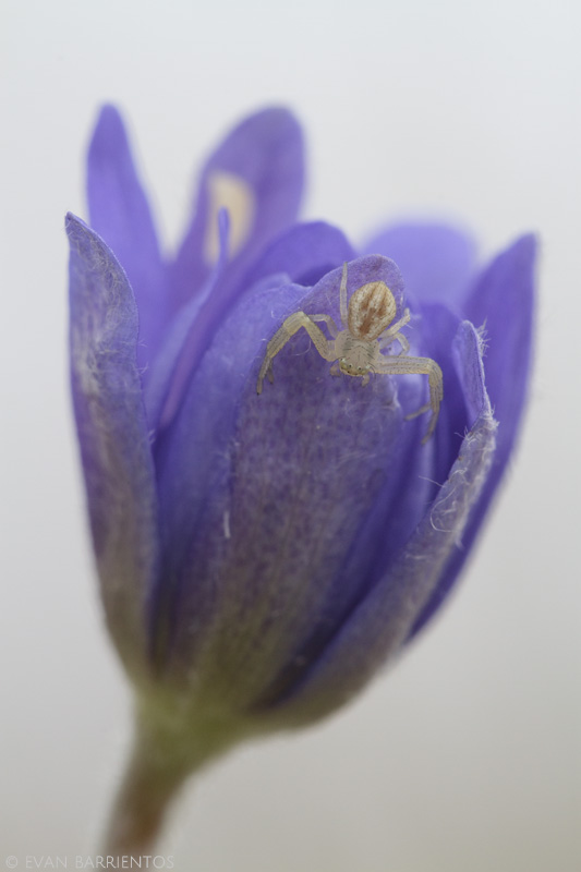 20160419_nebraska_2274