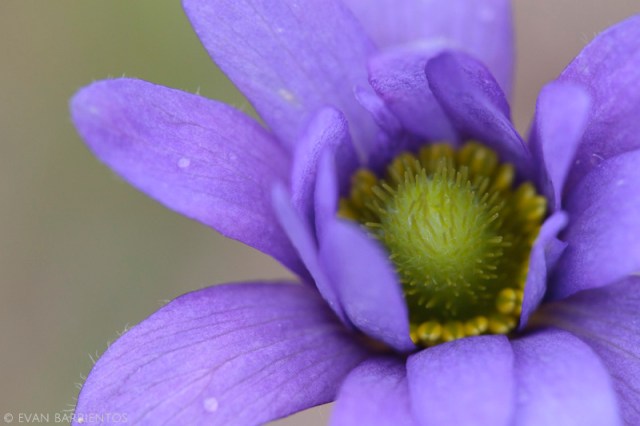 20160419_nebraska_2315