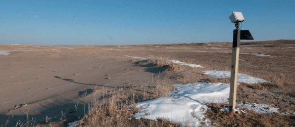 One of our timelapse cameras, set up to watch the downwind edge of a big blowout in bison-grazed Sandhills prairie.
