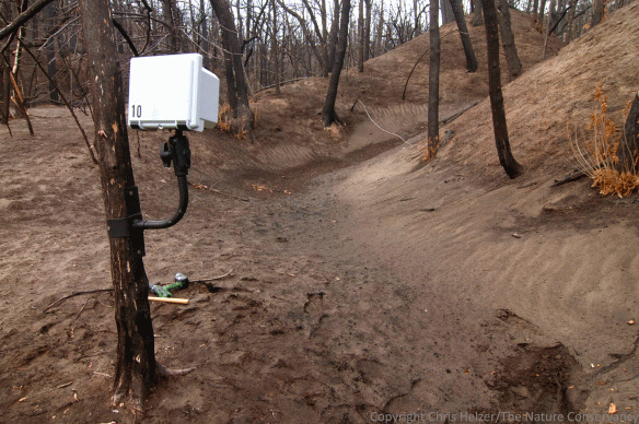 This camera was deployed to record sediment coming off the steep slopes on the bluffs and into the bottom of this draw.