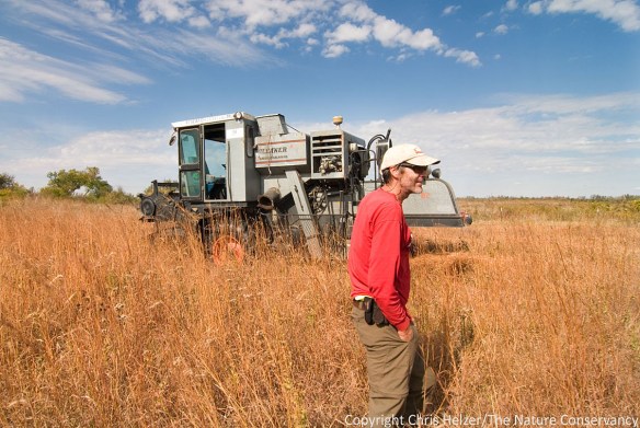 Bill Whitney (Prairie Plains Resource Institute) and his combine - harvesting grass seed at The Nature Conservancy's Derr Tract - Central Platte River, Nebraska.