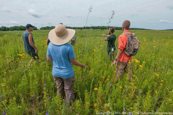 Former Nachusa staffer Mike Saxton led us through a young prairie planting where the plant diversity was already impressively high.