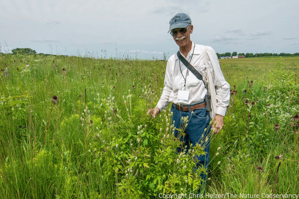 Carl Kurtz, a well-known prairie restoration guru in Iowa stands next to a thimbleweed plant we were admiring. Neither of us had ever seen the plant grow so large.