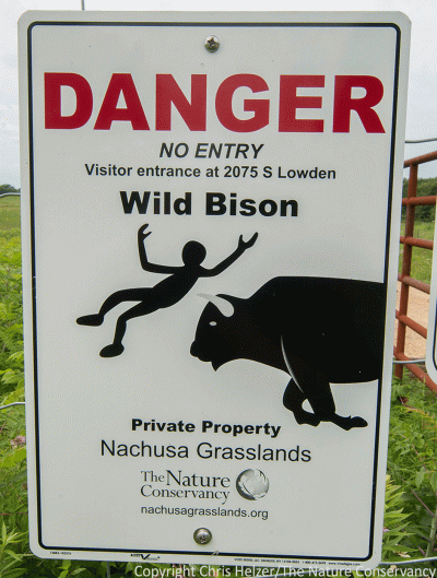 I only saw the Nachusa bison from a distance, so didn't get any photographs of them. I did, however, photograph the signs they have posted around the perimeter of the bison-grazed prairie. 