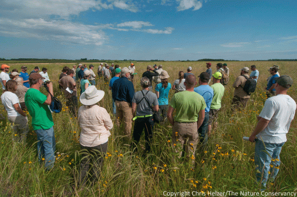 One of the best ways to learn from each other is to visit each others' projects and evaluate them together. 2015 Grassland Restoration Network workshop - Minnesota.