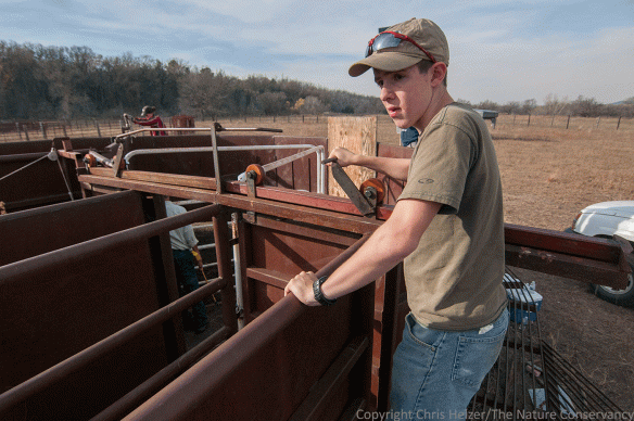 Like Daniel, John started as an observer, marveling at the size, strength, and agility of the bison passing by.
