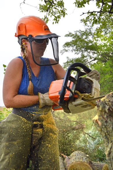 Katharine Hogan (Hubbard Fellow) wields a chainsaw