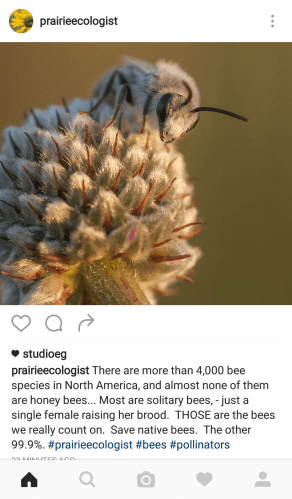 screenshot_2016-10-10-09-18-02