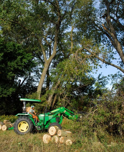The most time intensive portion of tree removal, and thus limiting factor, is the organization and removal of downed tree material. Left on the ground, mature trees rarely burn up well in prescribed fires, and the skeletons impede maneuvering within the area during future management actions. Photo by Eric Chien