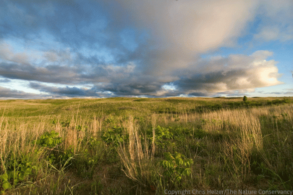 Sandhills prairie at The Nature Conservancy's Niobrara Valley Preserve in northern Nebraska.