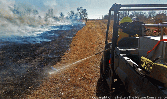 A firefighter in a UTV with a slip-on pump unit follows Katharine's ignition and prevents the fire from creeping into the mowed firebreak. By this stage in the fire, the wind was mostly blowing the fire into the unit, making this job easier.