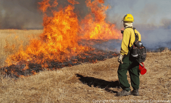 Nothing to do now but watch.