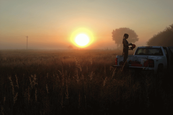Katharine (Hubbard Fellow) preparing for some chainsaw work on a late summer morning.