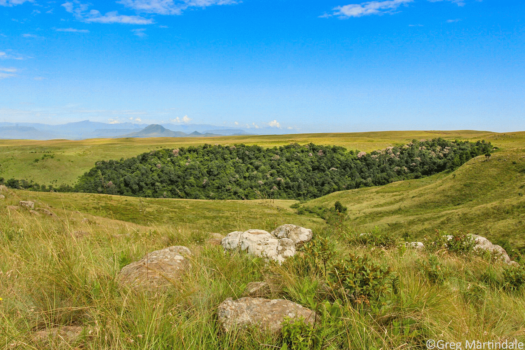 FortNottinghamforest | The Prairie Ecologist